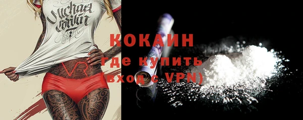 прущие грибы Болотное