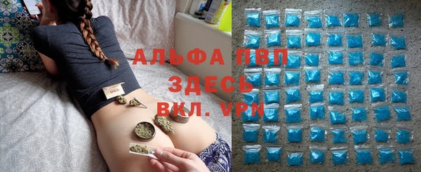 крисы Костерёво