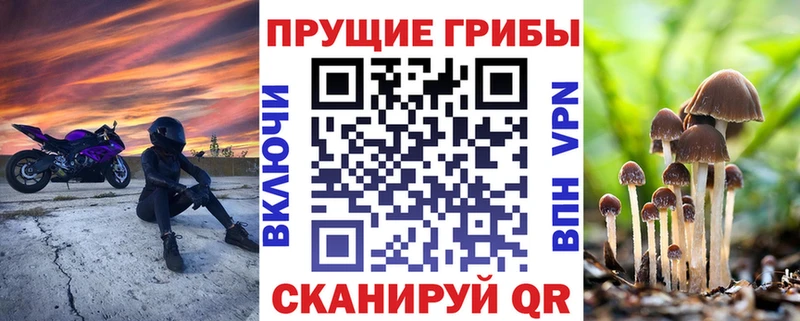Псилоцибиновые грибы Psilocybine cubensis  Мамадыш 